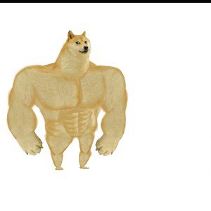 Dog crew