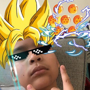   The saiyans