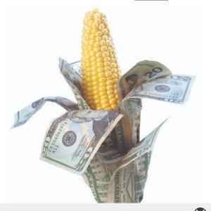 Cornhustlers 