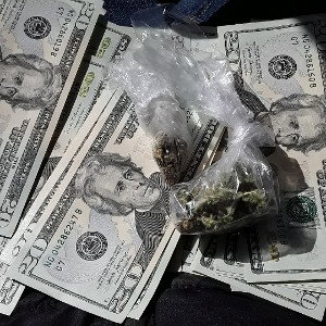 Green team o.t.m 
