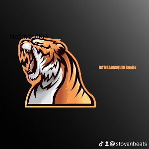 NOLIMITED Company