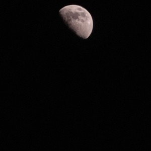 Moon Man Records