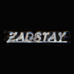Zadstay Team
