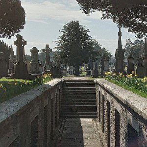 ForsakenGods