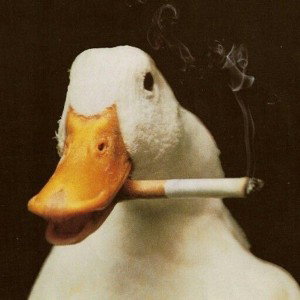 Ducky Records 