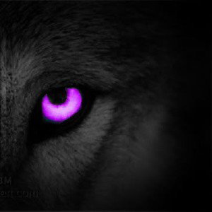 Clear Vision Entertainment