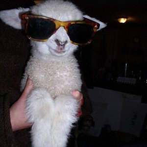 young G.O.A.T
