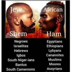 Real warriors