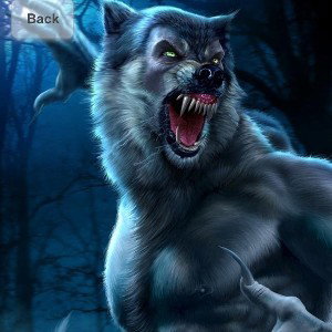 Nfl wolfe pack orangutan gang 