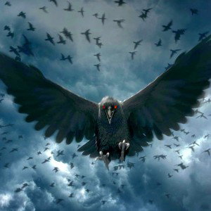 Crowmation