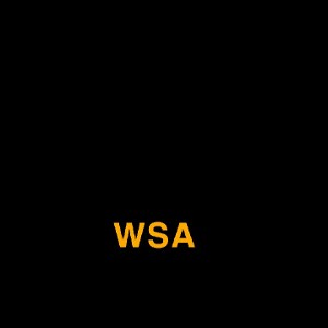 WSA 
