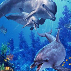 DELFINES RAP 