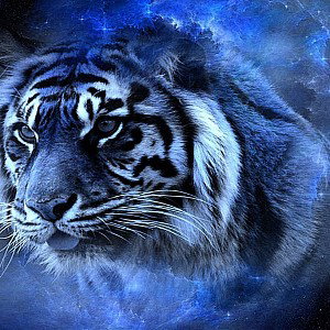 The Tiger Rappers