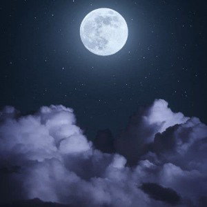 ابیطالب 