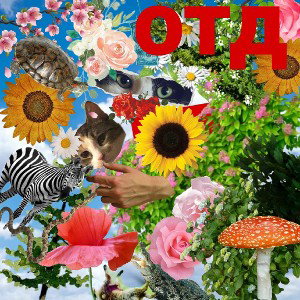 ОтД!