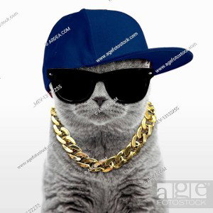 Sfide di freestyle