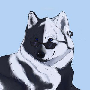 Шестая команда