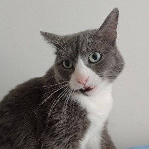 WHEN l WIN
