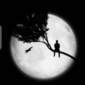 New moon 