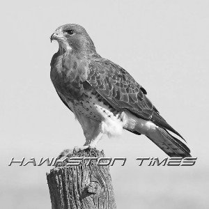 Hawkston Times