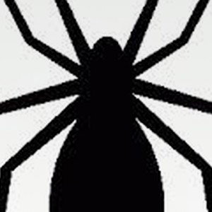 Spider-bars