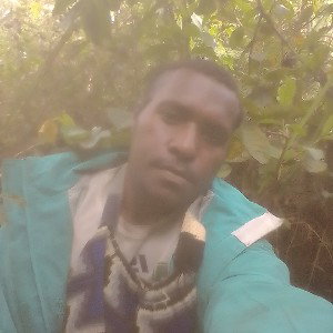 Jay karks 