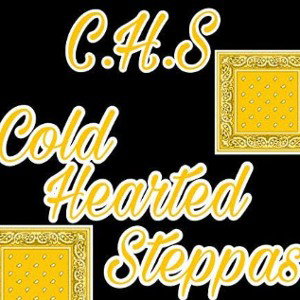 COLD HEARTED STEPPAS CHS
