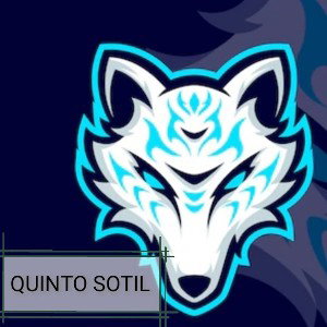 Quinto Sotil