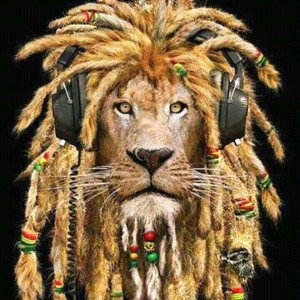 EMPIRE COOL