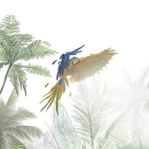 parrot community