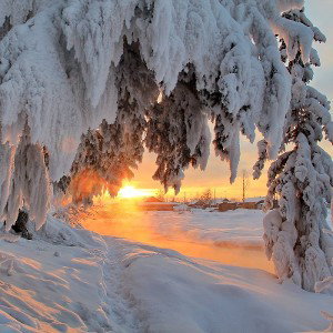 ~SiberianMC~