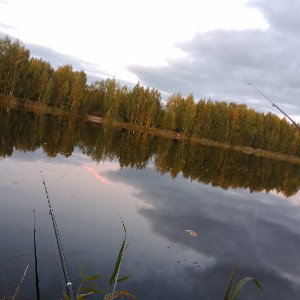 Рок басс