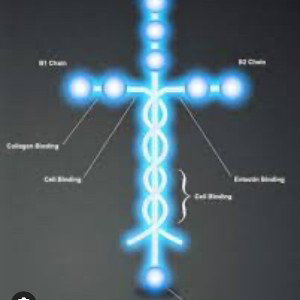 Born 2 Christ: Yeshua Gang