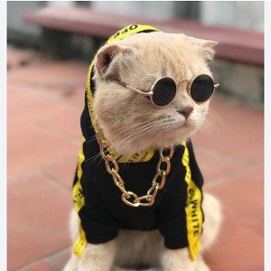 Это мой любимый кот