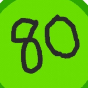 80 records