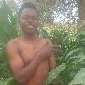 Mwamkwale budabest