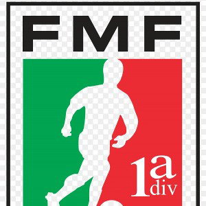 FMF FORIEGNMONEYFAMILY