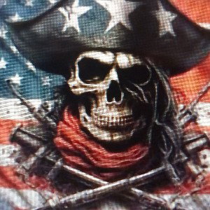 The Dead Patriot Alliance