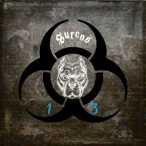 S.R.O 13