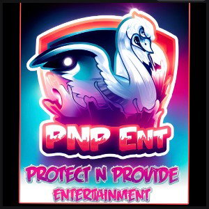 PNP ENTERPRISE 