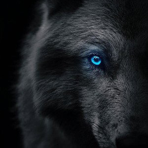 Werewolf team