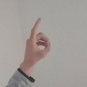 Do Or Dies 