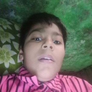 ARYAN school 