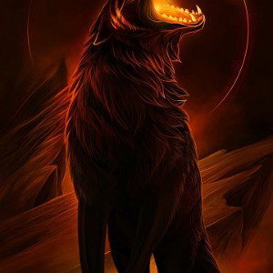 D.d racordse