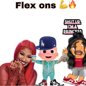 DA FLEX ONS