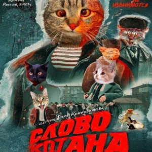 Слова котана шерсть на диване