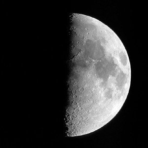 MOONLIT SOCIETY 