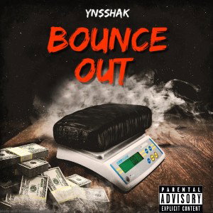 YNS.records