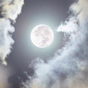 Oeil De Lune