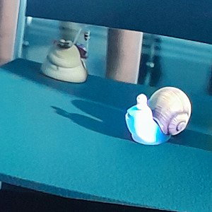 SNAIL GANG